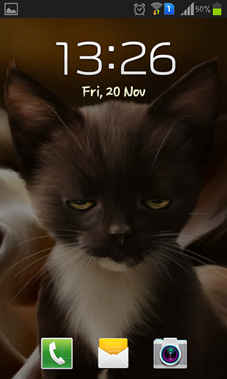 Surprised kitty für Android spielen. Live Wallpaper Überraschtes Kätzchen kostenloser Download.