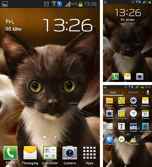 Zusätzlich zum Live Wallpaper Blumen und Schmetterlinge für Android Mobiltelefone und Tablets, können Sie auch Surprised kitty, Überraschtes Kätzchen kostenlos herunterladen.