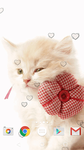 Fondos de pantalla animados a Сute kittens para Android. Descarga gratuita fondos de pantalla animados Gatitos lindos .