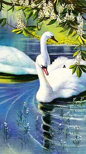 Screenshots of the Swans by SweetMood for Android tablet, phone.