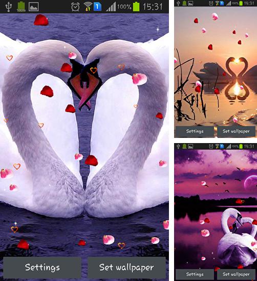 Дополнительно к живым обоям на Андроид телефоны и планшеты Голубые небеса, вы можете также бесплатно скачать заставку Swans: Love.