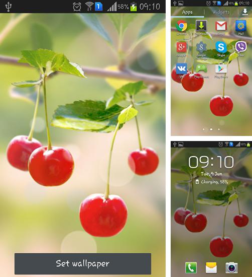 Download live wallpaper Sweet cherry for Android. Get full version of Android apk livewallpaper Sweet cherry for tablet and phone.