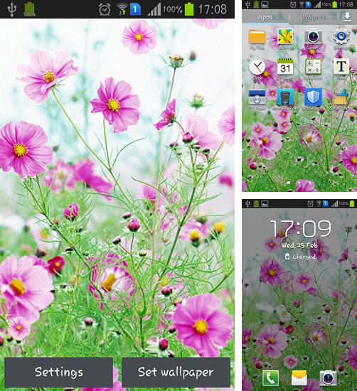 Kostenloses Android-Live Wallpaper Süße Blumen. Vollversion der Android-apk-App Sweet flowers für Tablets und Telefone.
