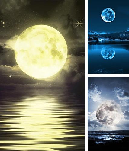 Download live wallpaper The Moon by Jango LWP Studio for Android. Get full version of Android apk livewallpaper The Moon by Jango LWP Studio for tablet and phone.