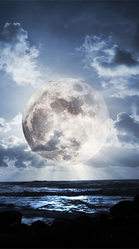 Écrans de The Moon paradise pour tablette et téléphone Android.