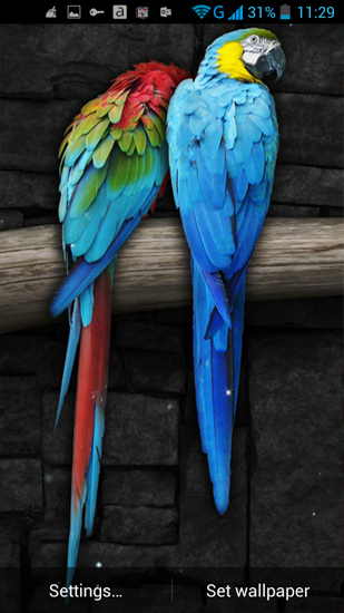 Screenshots of the Parrot for Android tablet, phone.