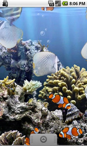 Kostenloses Android-Live Wallpaper Echtes Aquarium. Vollversion der Android-apk-App The real aquarium für Tablets und Telefone.