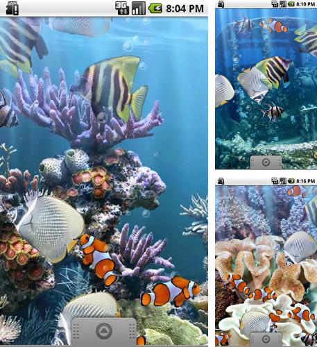 Download live wallpaper The real aquarium for Android. Get full version of Android apk livewallpaper The real aquarium for tablet and phone.