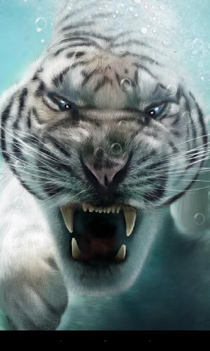 Screenshots of the Tiger for Android tablet, phone.