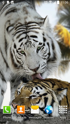Download Tiger by Amax LWPS - livewallpaper for Android. Tiger by Amax LWPS apk - free download.