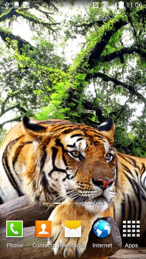Скріншот Tiger by Amax LWPS. Скачати живі шпалери на Андроїд планшети і телефони.
