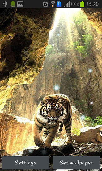 Kostenloses Android-Live Wallpaper Tiger. Vollversion der Android-apk-App Tigers für Tablets und Telefone.