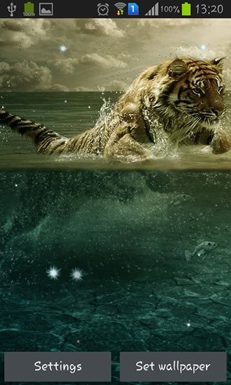 Tigers für Android spielen. Live Wallpaper Tiger kostenloser Download.