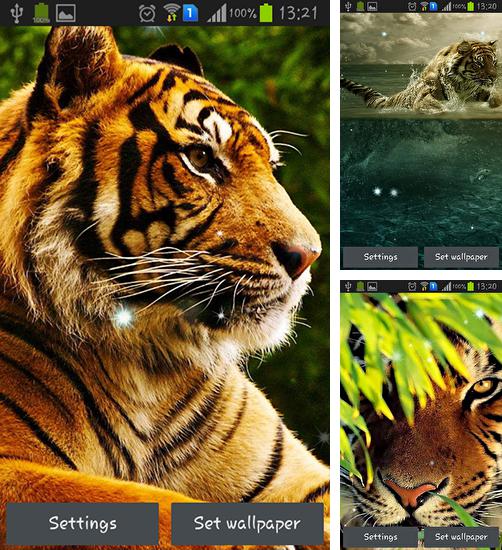 除了用于安卓手机和平板电脑的动态壁纸，您还可以免费下载Tigers，。