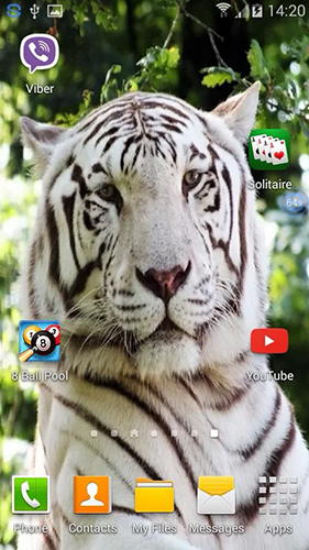 Descarga gratuita fondos de pantalla animados Tigres: Sacude y cambia  para Android. Consigue la versión completa de la aplicación apk de Tigers: shake and change para tabletas y teléfonos Android.