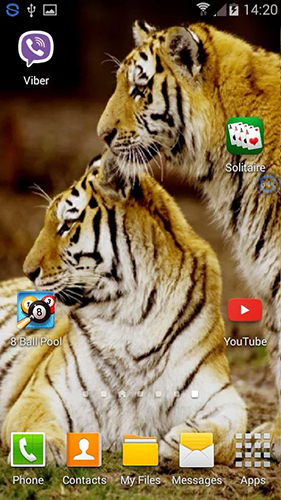 Tigers: shake and change für Android spielen. Live Wallpaper Tiger: Schüttel und verändere kostenloser Download.