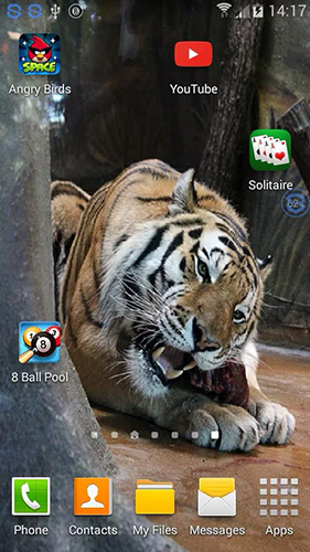 Écrans de Tigers: shake and change pour tablette et téléphone Android.