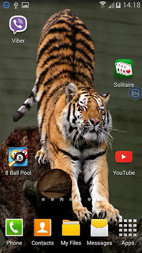 Écrans de Tigers: shake and change pour tablette et téléphone Android.