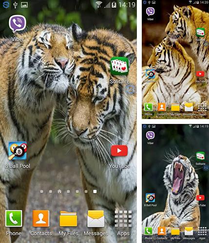 Zusätzlich zum Live Wallpaper Kosmischer Fluss für Android Mobiltelefone und Tablets, können Sie auch Tigers: shake and change, Tiger: Schüttel und verändere kostenlos herunterladen.