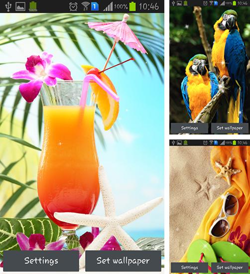 In addition to live wallpaper Matrix 3D сubes for Android phones and tablets, you can also download Tropical for free.