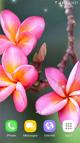 Screenshots of the Tropical by BlackBird Wallpapers for Android tablet, phone.