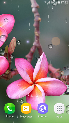Tropical flowers für Android spielen. Live Wallpaper Tropische Blumen kostenloser Download.