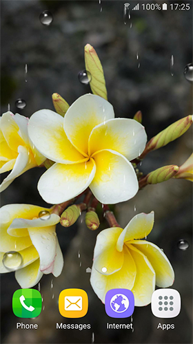 Screenshots of the Tropical flowers for Android tablet, phone.
