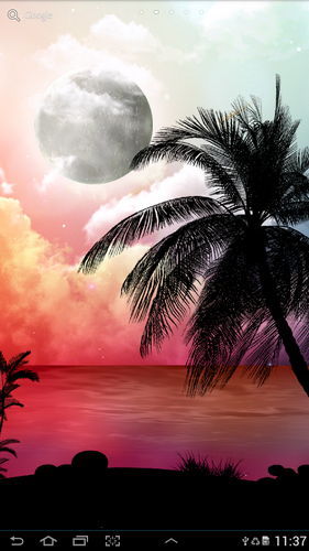 Fondos de pantalla animados a Tropical night para Android. Descarga gratuita fondos de pantalla animados Noche tropical.