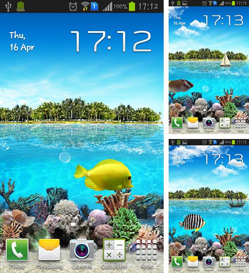 Kostenloses Android-Live Wallpaper Tropischer Ozean. Vollversion der Android-apk-App Tropical ocean für Tablets und Telefone.