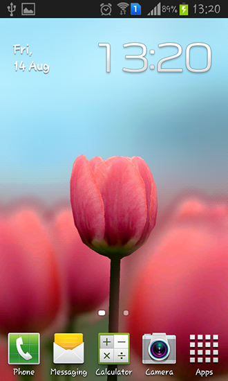 Tulip 3D