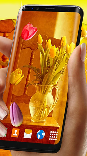Fondos de pantalla animados a Tulips by 3D HD Moving Live Wallpapers Magic Touch Clocks para Android. Descarga gratuita fondos de pantalla animados Tulipanes.