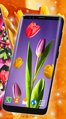 Скриншот Tulips by 3D HD Moving Live Wallpapers Magic Touch Clocks. Скачать живые обои на Андроид планшеты и телефоны.