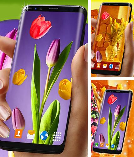 Descarga gratuita fondos de pantalla animados Tulipanes para Android. Consigue la versión completa de la aplicación apk de Tulips by 3D HD Moving Live Wallpapers Magic Touch Clocks para tabletas y teléfonos Android.