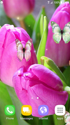 Tulips by Live Wallpapers 3D - безкоштовно скачати живі шпалери на Андроїд телефон або планшет.