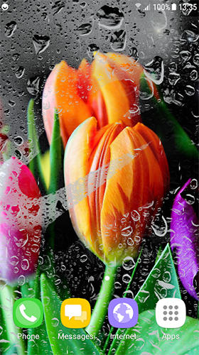 Téléchargement gratuit de Tulips by Live Wallpapers 3D pour Android.
