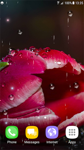 Screenshots von Tulips by Live Wallpapers 3D für Android-Tablet, Smartphone.
