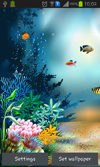 Underwater world - безкоштовно скачати живі шпалери на Андроїд телефон або планшет.