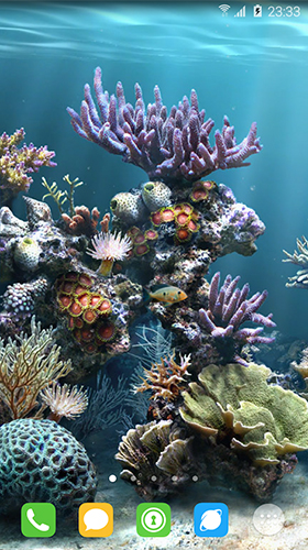 Underwater world by orchid - безкоштовно скачати живі шпалери на Андроїд телефон або планшет.