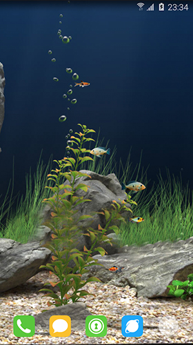 Papeis de parede animados Mundo subaquático para Android. Papeis de parede animados Underwater world by orchid para download gratuito.
