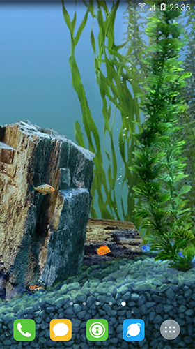 Underwater world by orchid - скріншот живих шпалер для Android.