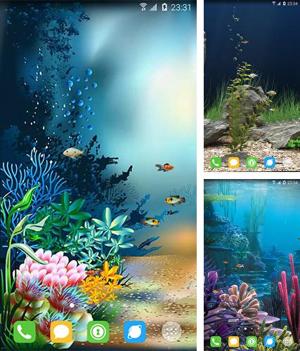 Underwater world by orchid - бесплатно скачать живые обои на Андроид телефон или планшет.