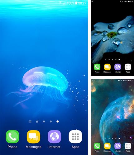 Además de fondo de pantalla animados Mundo submarino para teléfonos y tabletas Android, también puedes descargarte gratis Wallpaper S8.