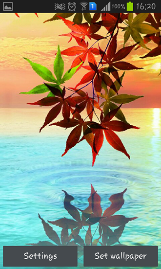 Download Water drop: Flowers and leaves - livewallpaper for Android. Water drop: Flowers and leaves apk - free download.