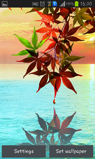 Screenshots von Water drop: Flowers and leaves für Android-Tablet, Smartphone.