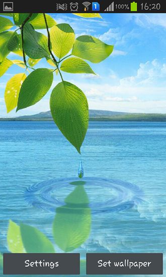 Water drop: Flowers and leaves - скріншот живих шпалер для Android.