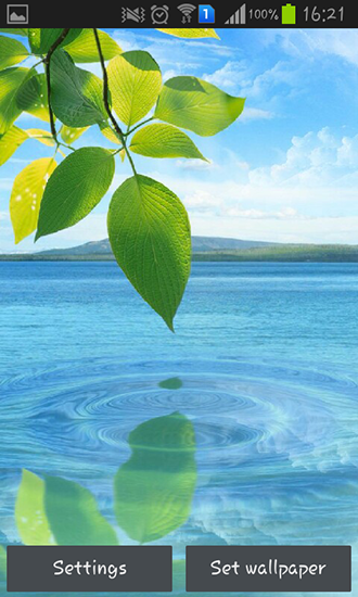 Геймплей Water drop: Flowers and leaves для Android телефона.