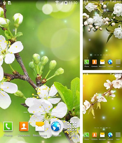 In addition to live wallpaper Green Cooler for Android phones and tablets, you can also download Water drops by Amax LWPS for free.