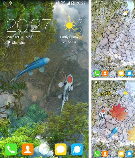 Дополнительно к живым обоям на Андроид телефоны и планшеты Голубой дельфин, вы можете также бесплатно скачать заставку Water garden.