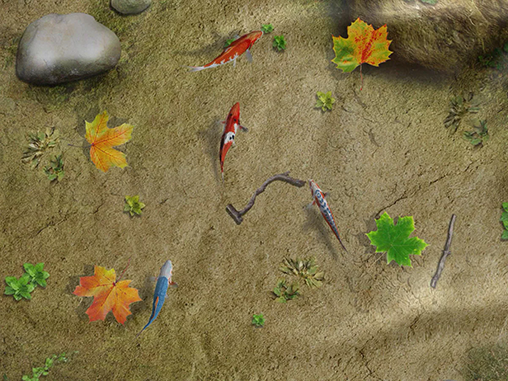 Papeis de parede animados Lago com peixes koi para Android. Papeis de parede animados Water koi fish pond para download gratuito.