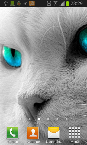 Kostenloses Android-Live Wallpaper Weiße Katzen. Vollversion der Android-apk-App White cats für Tablets und Telefone.